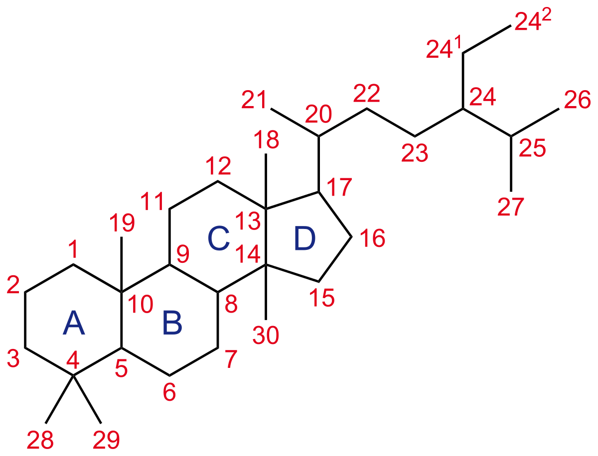 Trimethyl_steroid-nomenclature.svg_.png